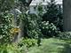 1208 Taylor, Joliet, IL 60435