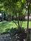 1208 Taylor, Joliet, IL 60435