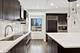 345 N Canal Unit 805, Chicago, IL 60606