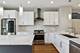 2835 N Hamlin, Chicago, IL 60618