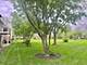 21 Ashburn Unit AV1, Schaumburg, IL 60193