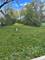 721 Marion, Highland Park, IL 60035