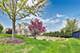 1214 Elm, Park Ridge, IL 60068
