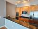 1235 S Prairie Unit 2102, Chicago, IL 60605