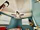 14539 Avers, Midlothian, IL 60445