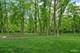 4779 Lees, Oswego, IL 60543