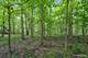 4779 Lees, Oswego, IL 60543