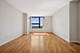 1160 S Michigan Unit 2204, Chicago, IL 60605