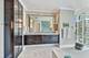 505 N Mcclurg Unit 4702, Chicago, IL 60611