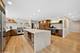 1115 Hunter, Glenview, IL 60025
