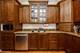 2051 W Belmont Unit 1, Chicago, IL 60618
