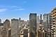 300 N State Unit 5623, Chicago, IL 60654