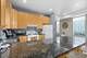 1542 W Wabansia, Chicago, IL 60642