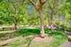 5656 S Dorchester Unit B, Chicago, IL 60637
