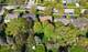 110 Green Valley, Naperville, IL 60540