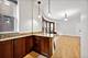 429 W Wellington Unit 1D, Chicago, IL 60657