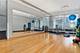 333 N Canal Unit 3401, Chicago, IL 60606
