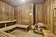 333 N Canal Unit 3401, Chicago, IL 60606