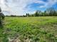 1999 Silver Cross, New Lenox, IL 60451
