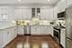 1319 N Oakley, Chicago, IL 60622