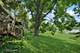 907 Division, Barrington, IL 60010