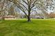 2219 Elim, Zion, IL 60099