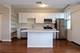 666 E 50th Unit 3, Chicago, IL 60615