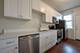 666 E 50th Unit 3, Chicago, IL 60615