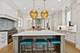1855 N Hermitage, Chicago, IL 60622
