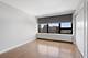 3930 N Pine Grove Unit 1014, Chicago, IL 60613