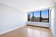 3930 N Pine Grove Unit 1014, Chicago, IL 60613