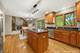1223 Leverenz, Naperville, IL 60564