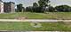 6425 S Champlain, Chicago, IL 60637