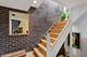 1747 N Fern, Chicago, IL 60614