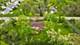 278 W Richton, Crete, IL 60417