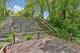 26211 W Spring Grove, Antioch, IL 60002