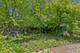 26211 W Spring Grove, Antioch, IL 60002