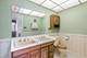 1402 N Indigo, Mount Prospect, IL 60056