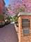 1824 N Lincoln Park West Unit 312, Chicago, IL 60614