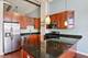 1791 W Howard Unit 209, Chicago, IL 60626