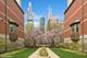 1412 S Prairie, Chicago, IL 60605