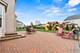 173 Hibiscus, Elgin, IL 60124