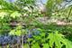 616 Kirk, Elgin, IL 60120