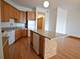 3406 N Sheffield Unit 3, Chicago, IL 60657
