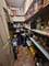 1331 N Campbell, Chicago, IL 60622