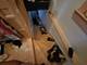 1331 N Campbell, Chicago, IL 60622