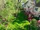 630 Juniper, Glenview, IL 60025