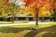 901 S Burton, Arlington Heights, IL 60005