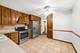 10207 Hibiscus, Orland Park, IL 60462