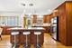 146 Bassford, La Grange, IL 60525